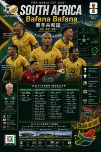 South Africa poster
